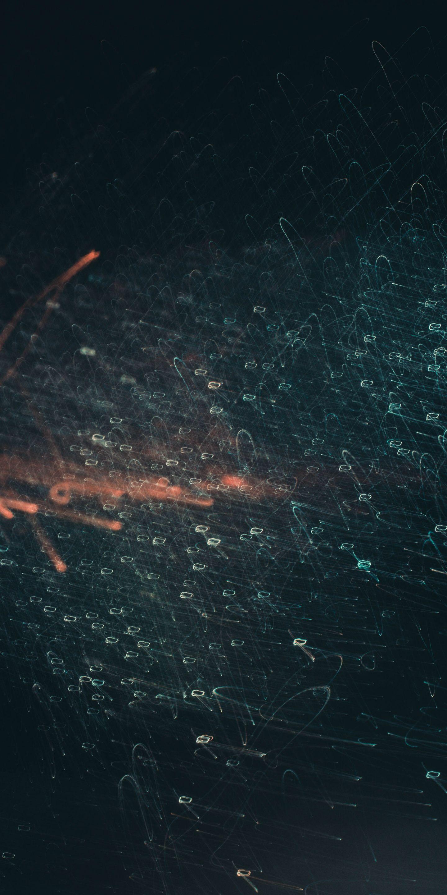 1440x2880 Wallpaper