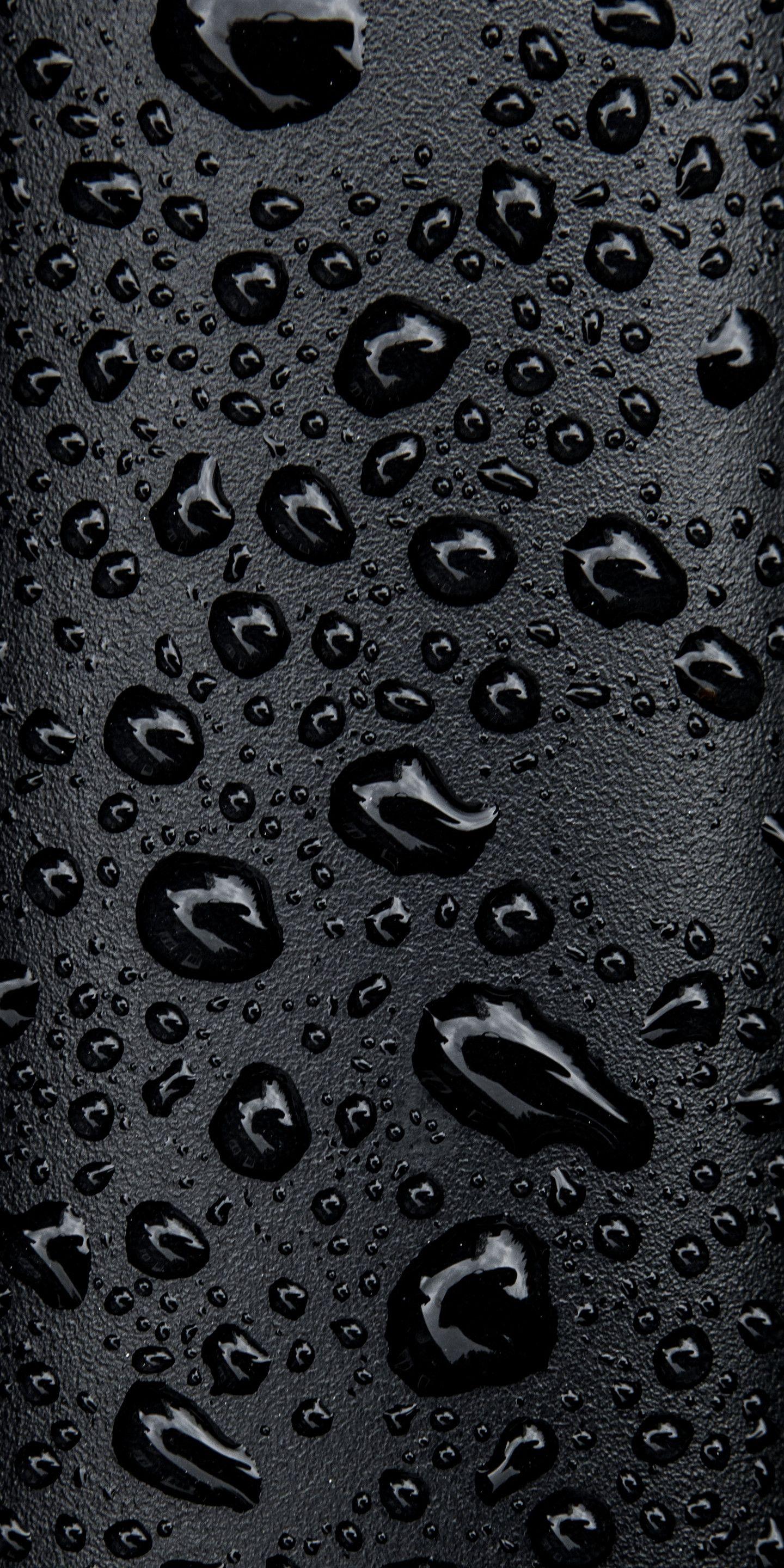 1440x2880 Most Used Wallpaper