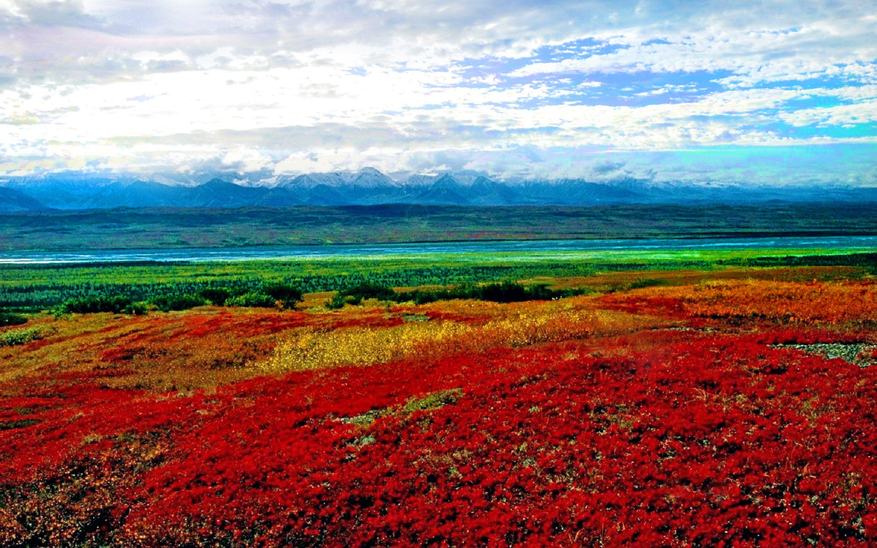 2880x1800 Alaska In Spring HDQ Wallpaper, HQ Definition Background HHC