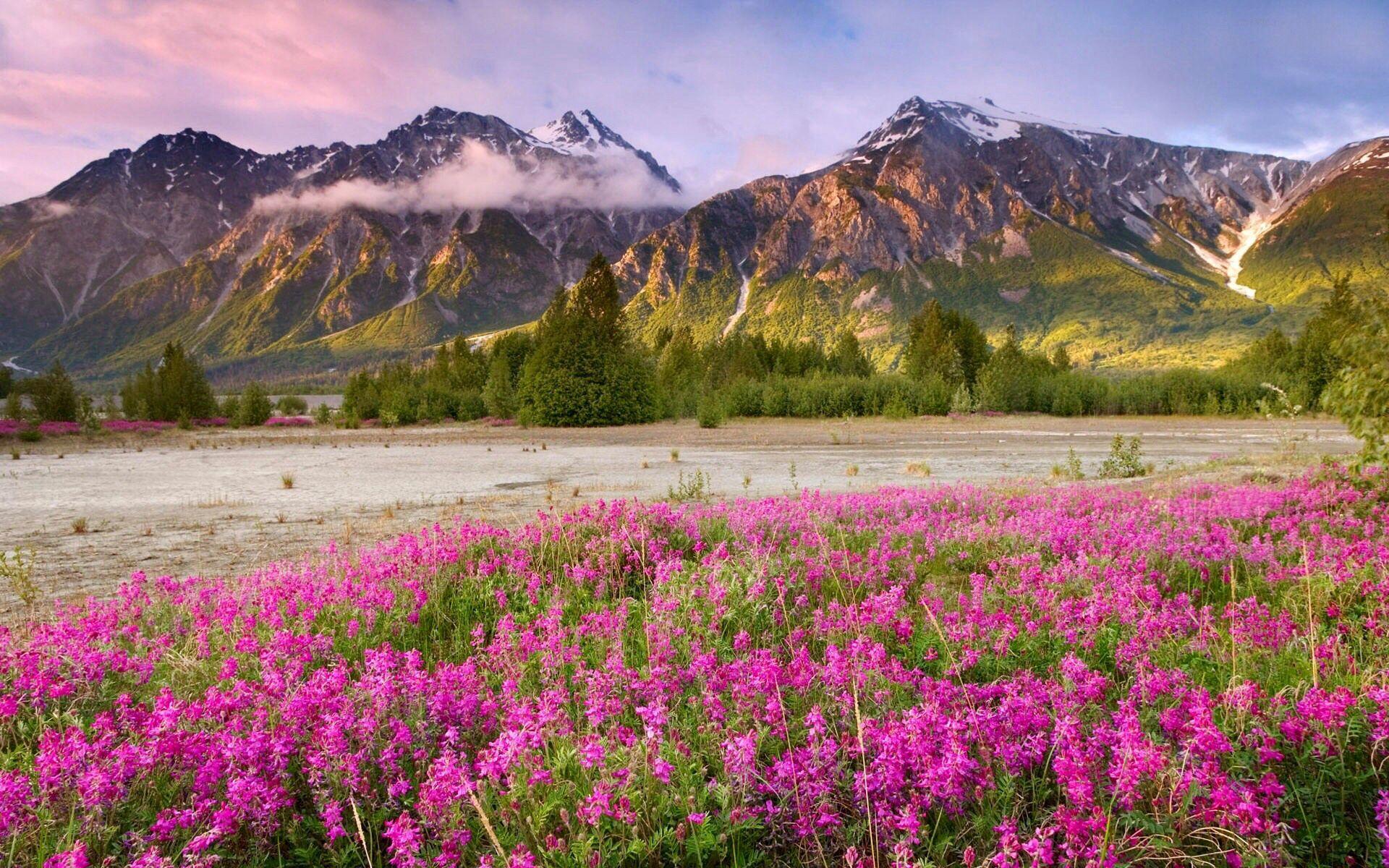 1920x1200 Denali National Park, Alaska, USA