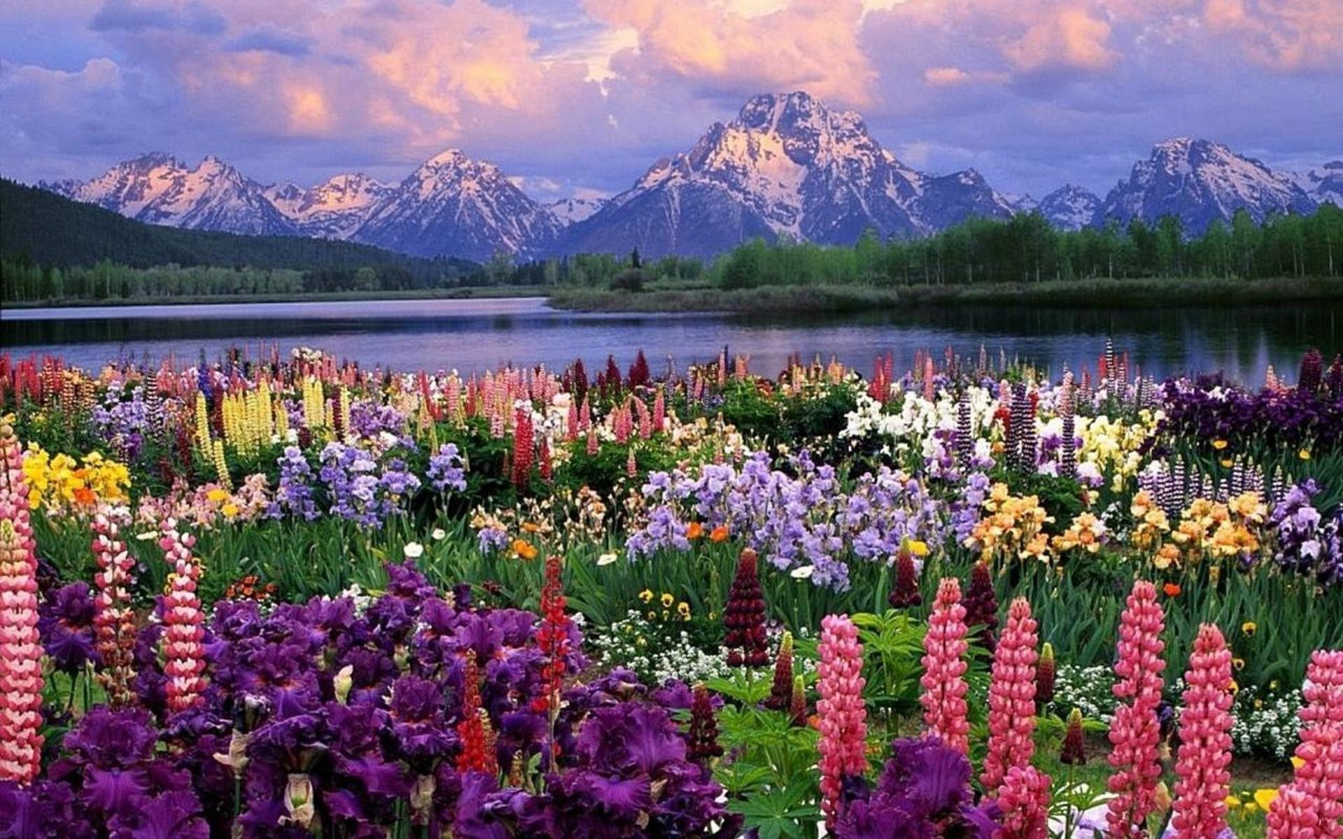 1920x1200 Spring Mountain Wallpaper