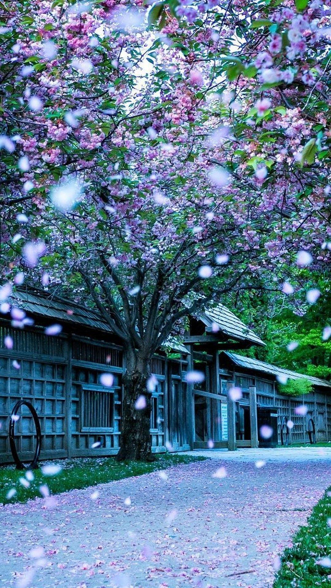 1080x1920 iPhone 7 Wallpaper Early Spring 3D iPhone Wallpaper