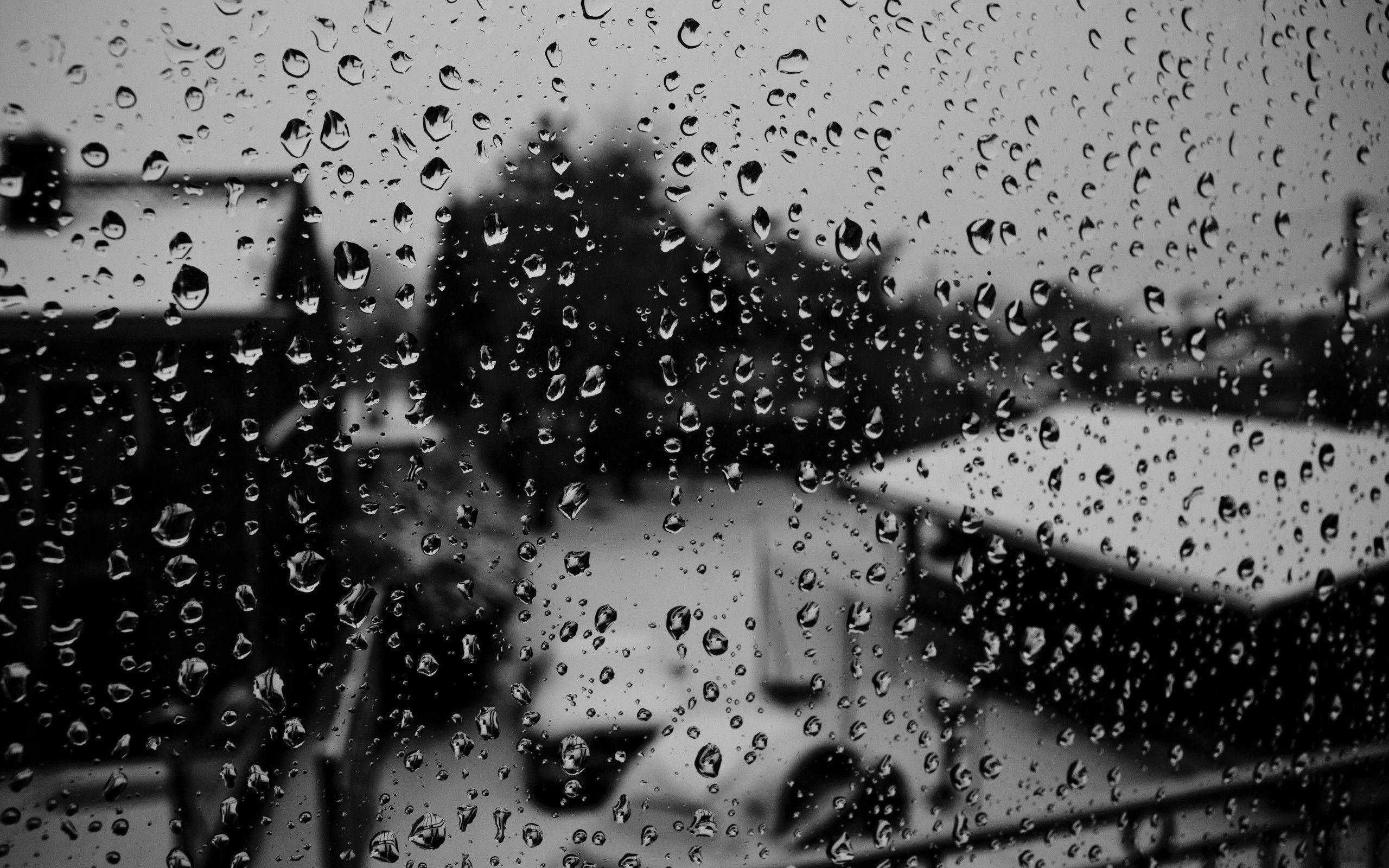 2560x1600 Black and white water drops condensation wallpaperx1600
