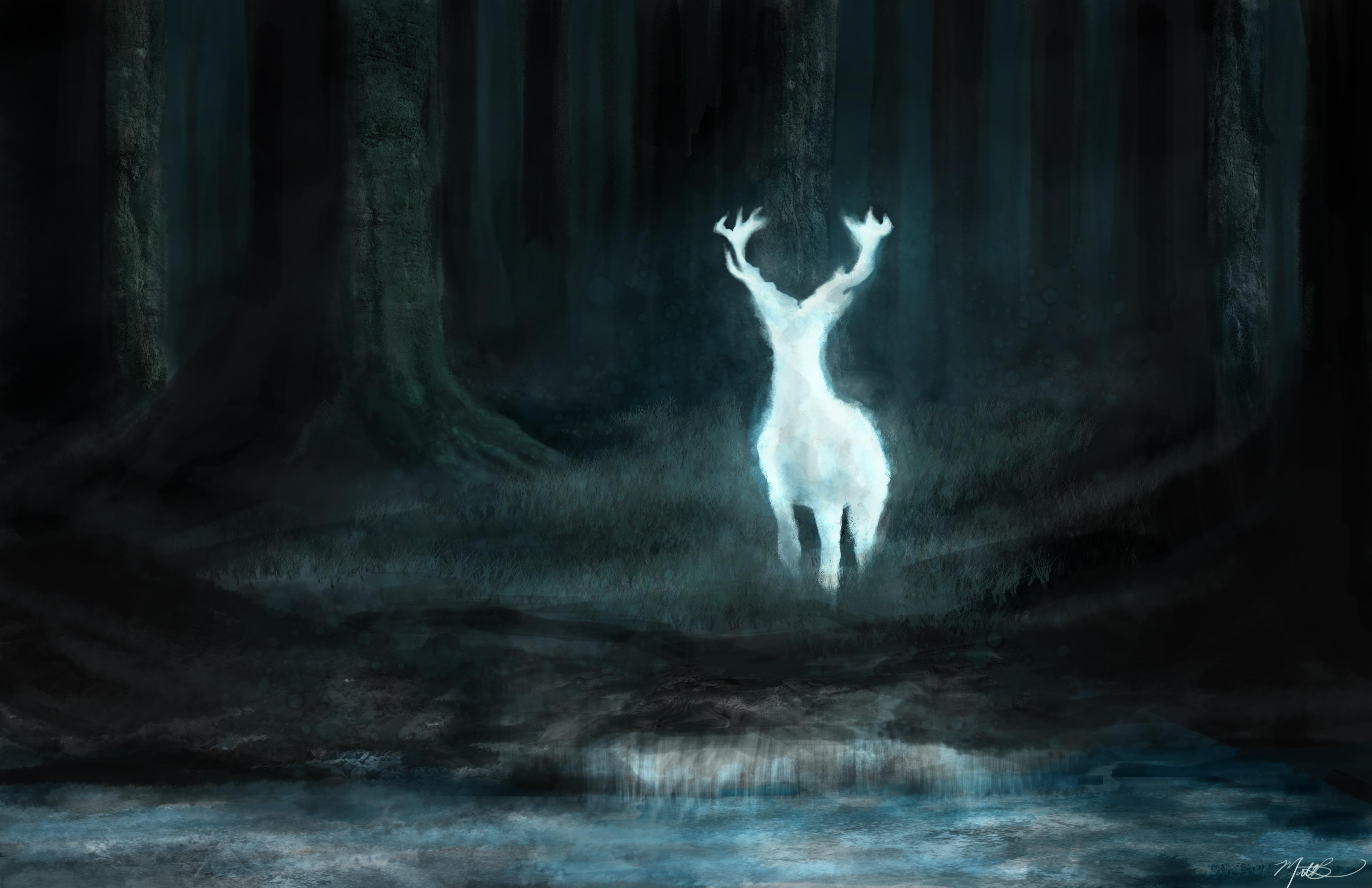 Expecto Patronum! 'Harry Potter' fans can now discover their own Patronus