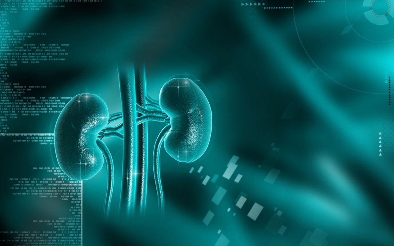 1280x800 Clinical management of metastatic kidney cancer: the role of new