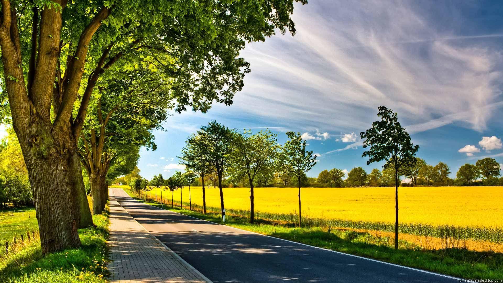 Lovely Nature background cool nice road trees view HD phone wallpaper   Peakpx