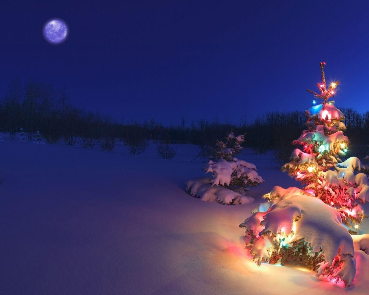 1280x1024 Free download 1280x1024 Christmas tree in the snow desktop PC