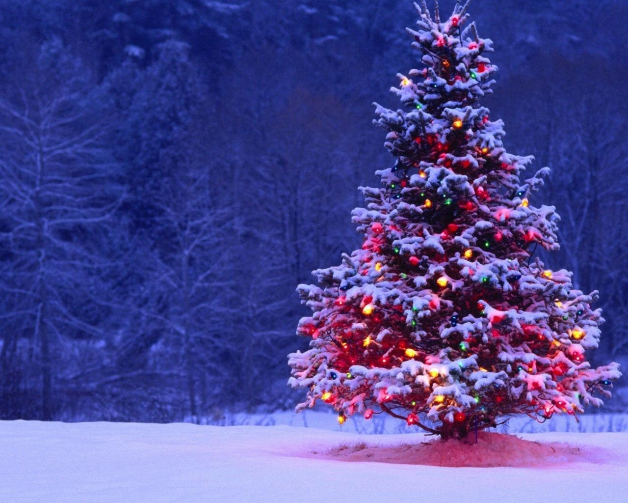 1280x1024 Christmas Wallpaper 1280 X 429.27 Kb