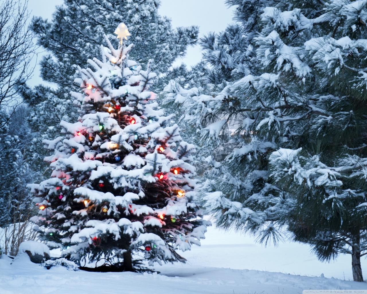 1280x1024 Christmas Wallpaper 1280 X 1024