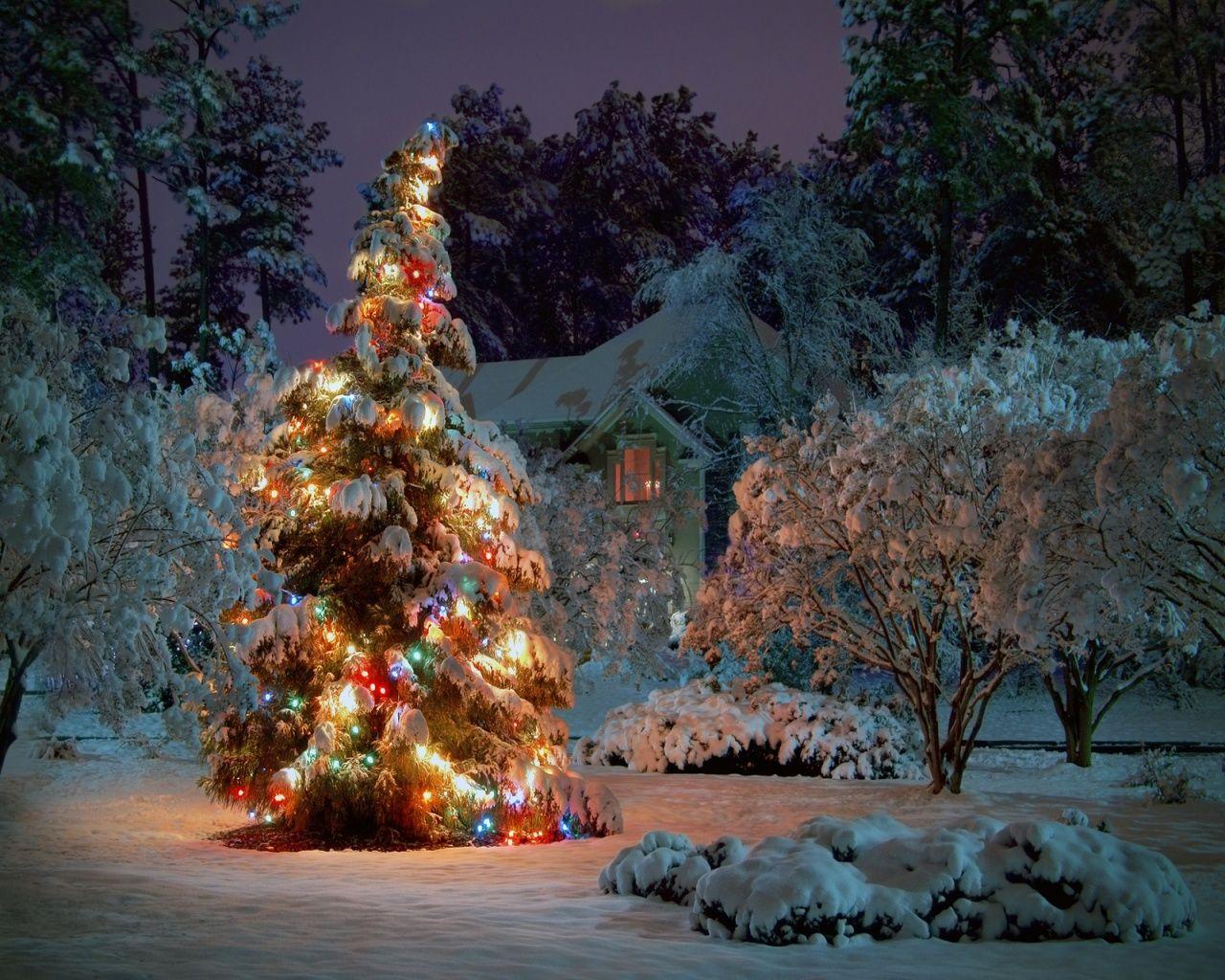 1280x1024 Free download 1280x1024 Outdoor Christmas tree desktop PC and Mac