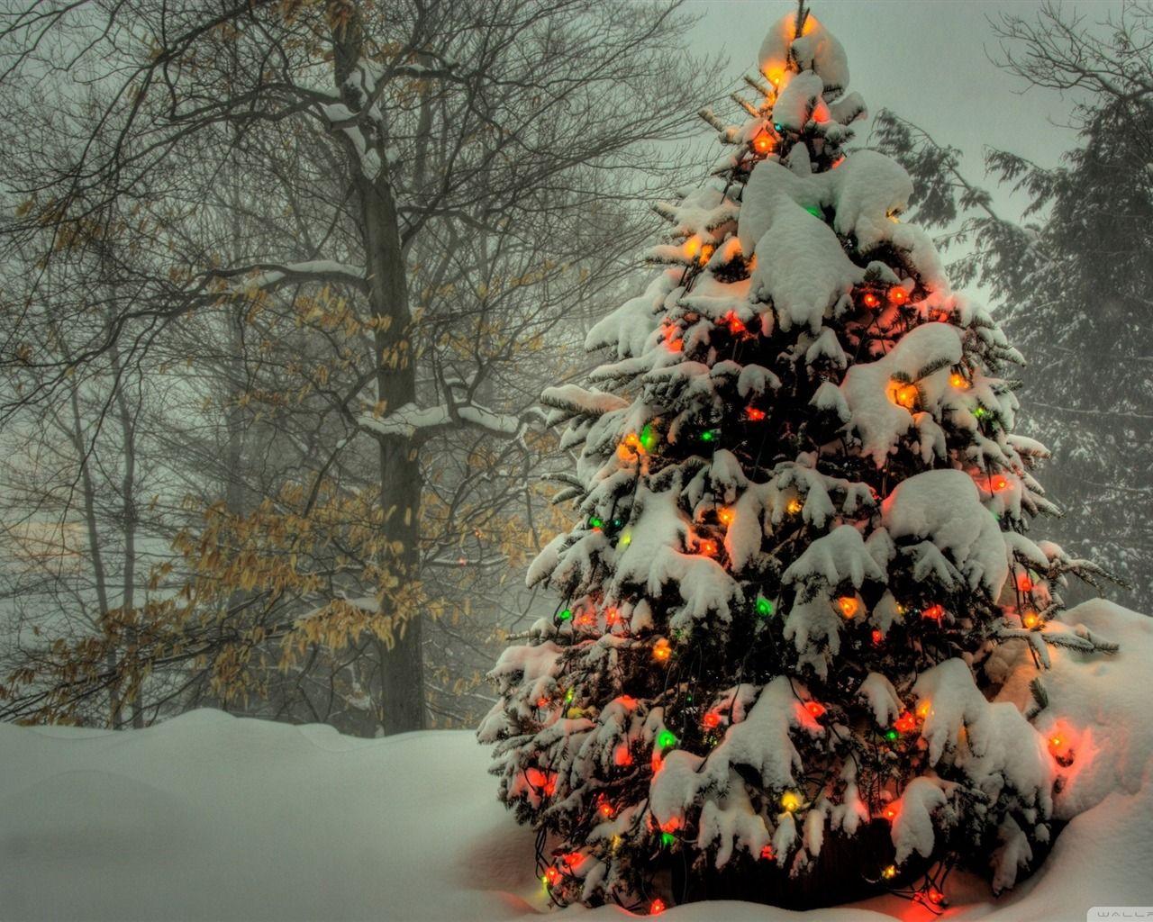 1280x1024 Free download christmas tree outside Christmas items jewelry