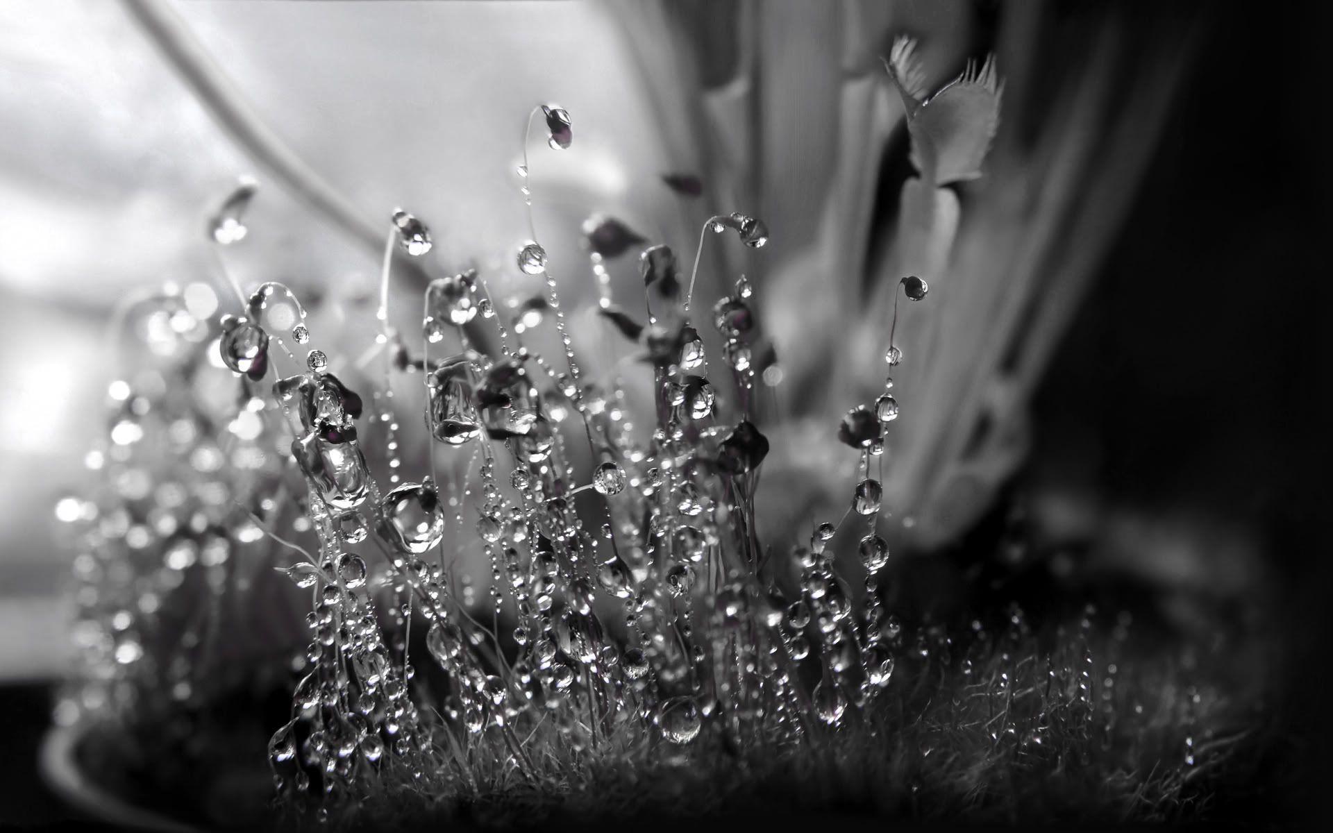 1920x1200 Crystal HD Wallpaper