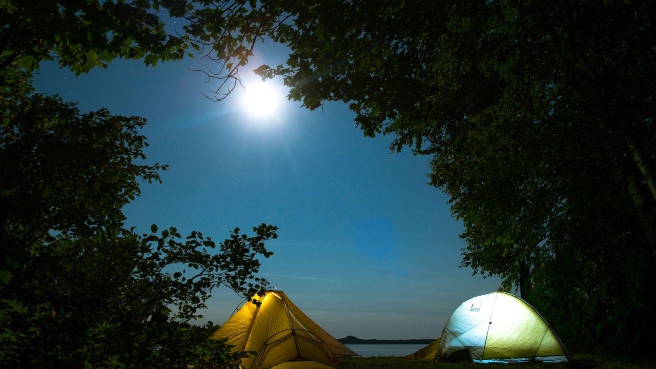 1280x720 tents, camping, trees 720P Wallpaper, HD Nature 4K