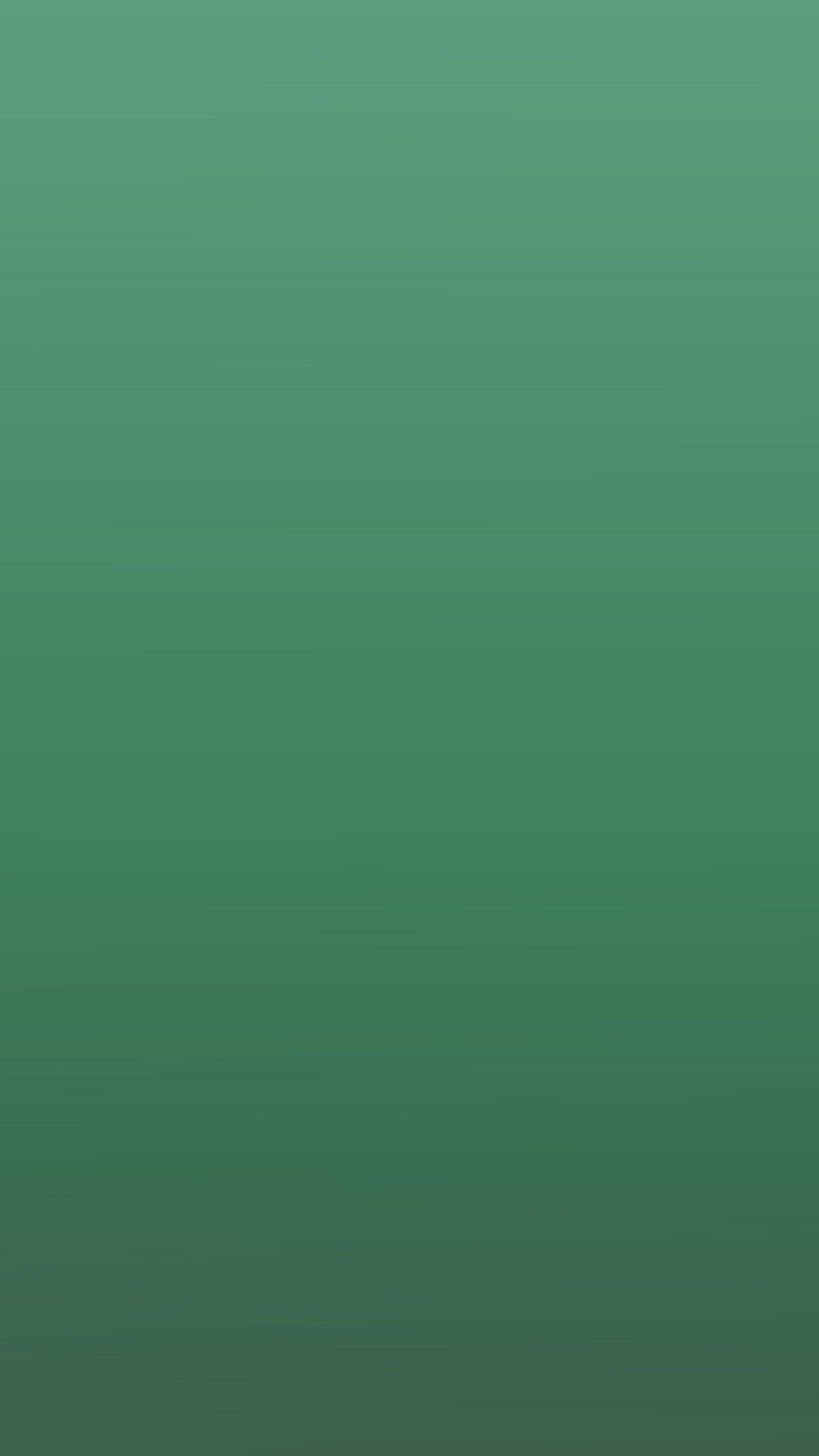 1242x2208 Green Emerald Gradation Blur
