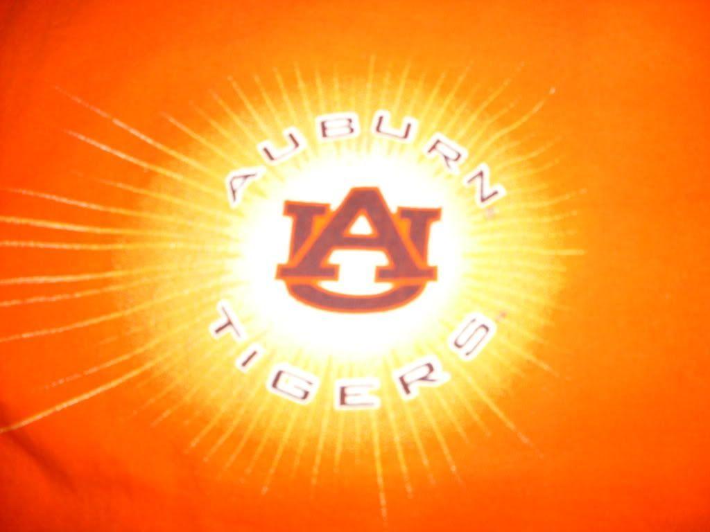 1024x768 Bengal Tiger Wallpaper. HD Wallpaper. Auburn tigers, Tiger