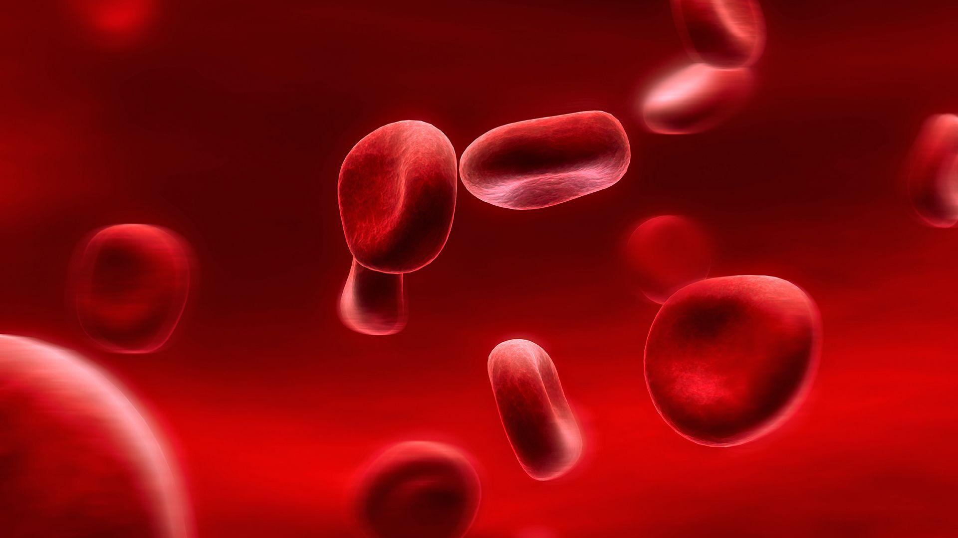 1920x1080 Funding Allows For The Clinical Development Of New Cell Based