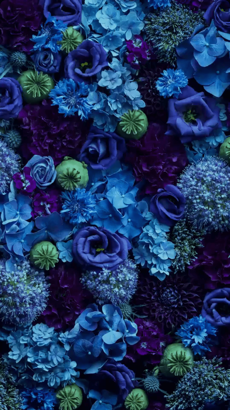 Asethetic Blue Floral Wallpapers - Top Free Asethetic Blue Floral  Backgrounds - WallpaperAccess