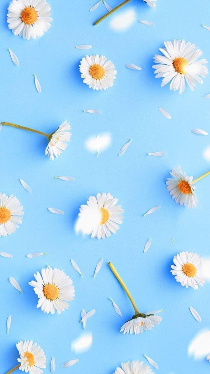 Asethetic Blue Floral Wallpapers - Top Free Asethetic Blue Floral ...