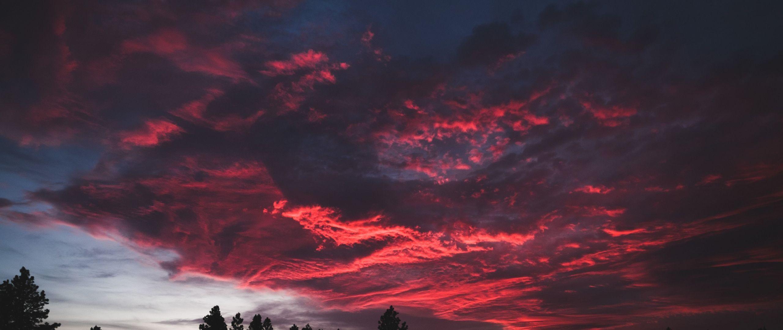 2560x1080 Download 2560x1080 wallpaper colorful, clouds, sunset, dark, tree