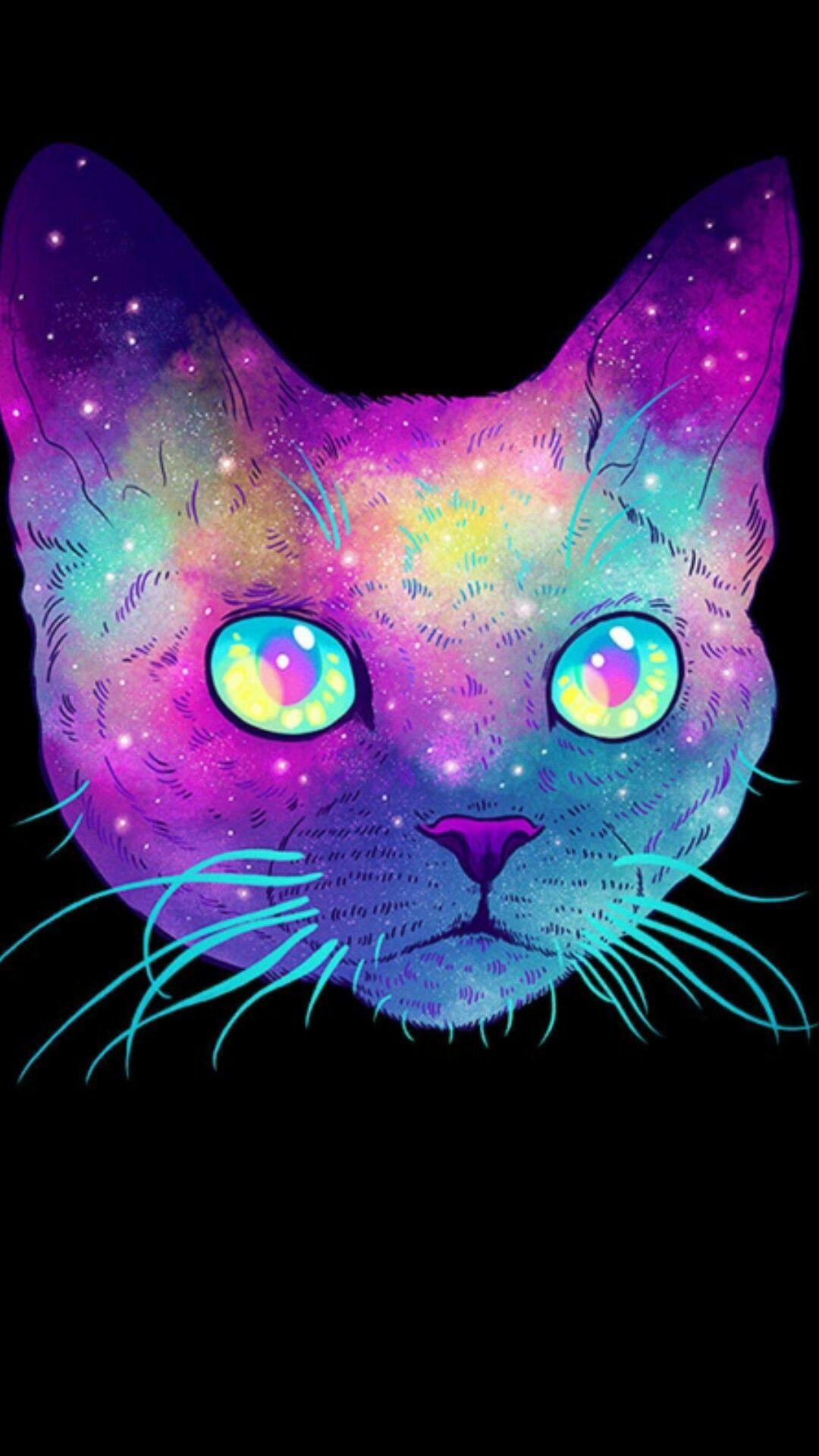Cosmic Cat Wallpapers - Top Free Cosmic Cat Backgrounds - WallpaperAccess