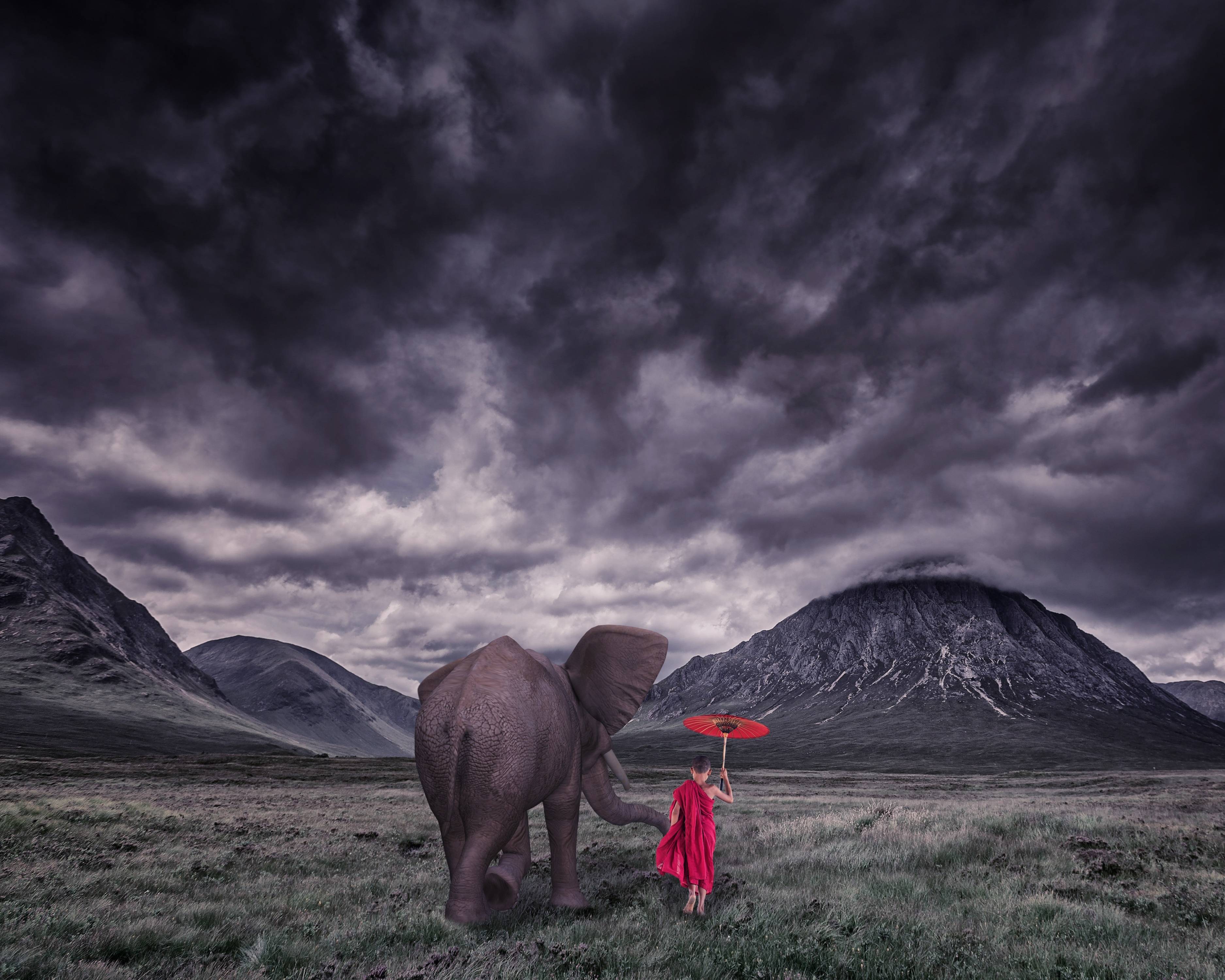 3750x3000 Young Buddhist Monk With Elephant Wallpaper 3750×3000 You