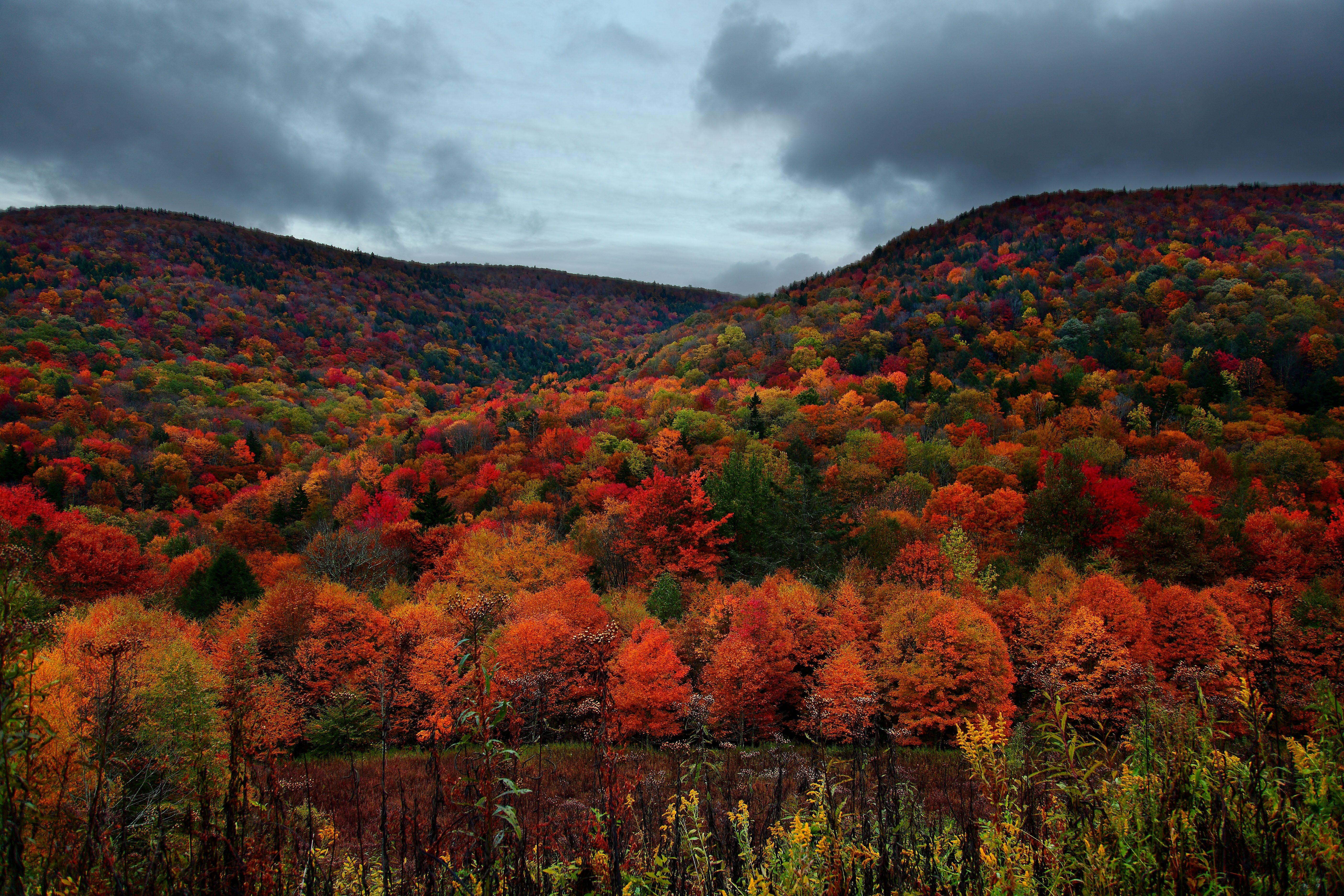 5616x3744 West Virginia State Song. The West Virginia Hills