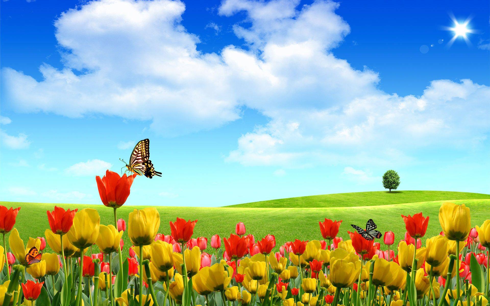 1920x1200 Wallpaper, computer, microsoft, welcome, papers
