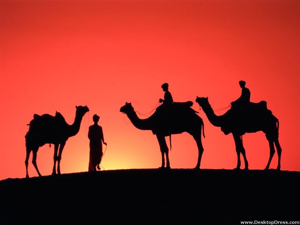 1024x768 Desktop Wallpaper Other Background Sam Sand Dunes, Rajasthan