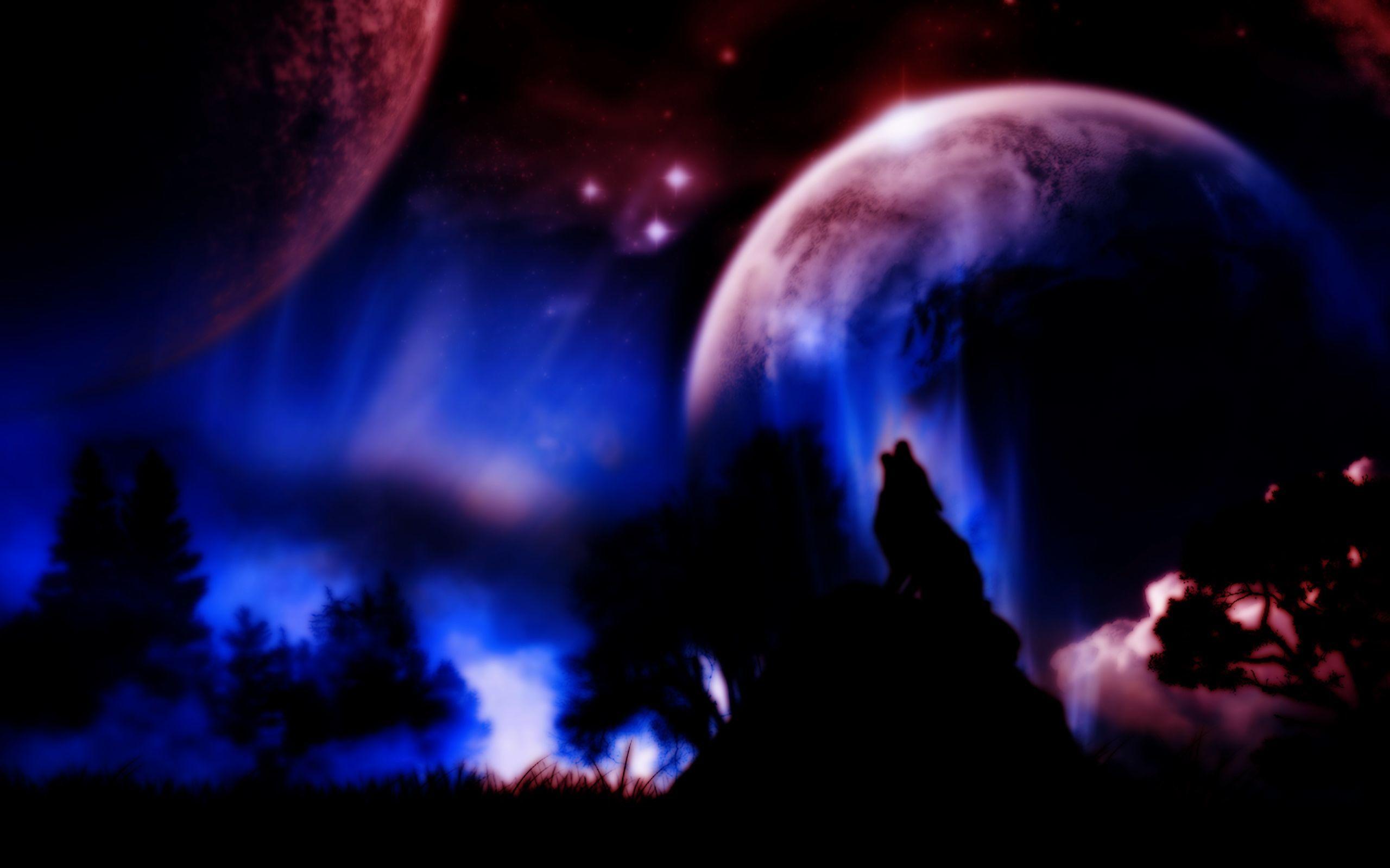2560x1600 Cool Black Wolf Wallpaper, Impressive Image. Black Wolf HD