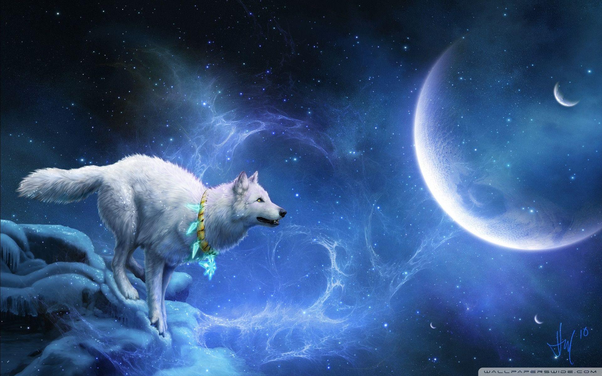 1920x1200 Cool Wolf Background