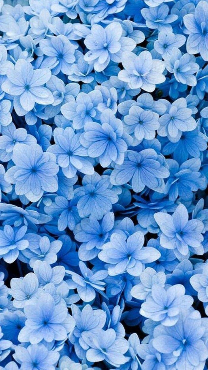 700x1246 Blue Flowers Phone Wallpaper Spring Desktop Background Phone Background. Spring Wallpaper, Blue Flower Wallpaper, Flower Aesthetic