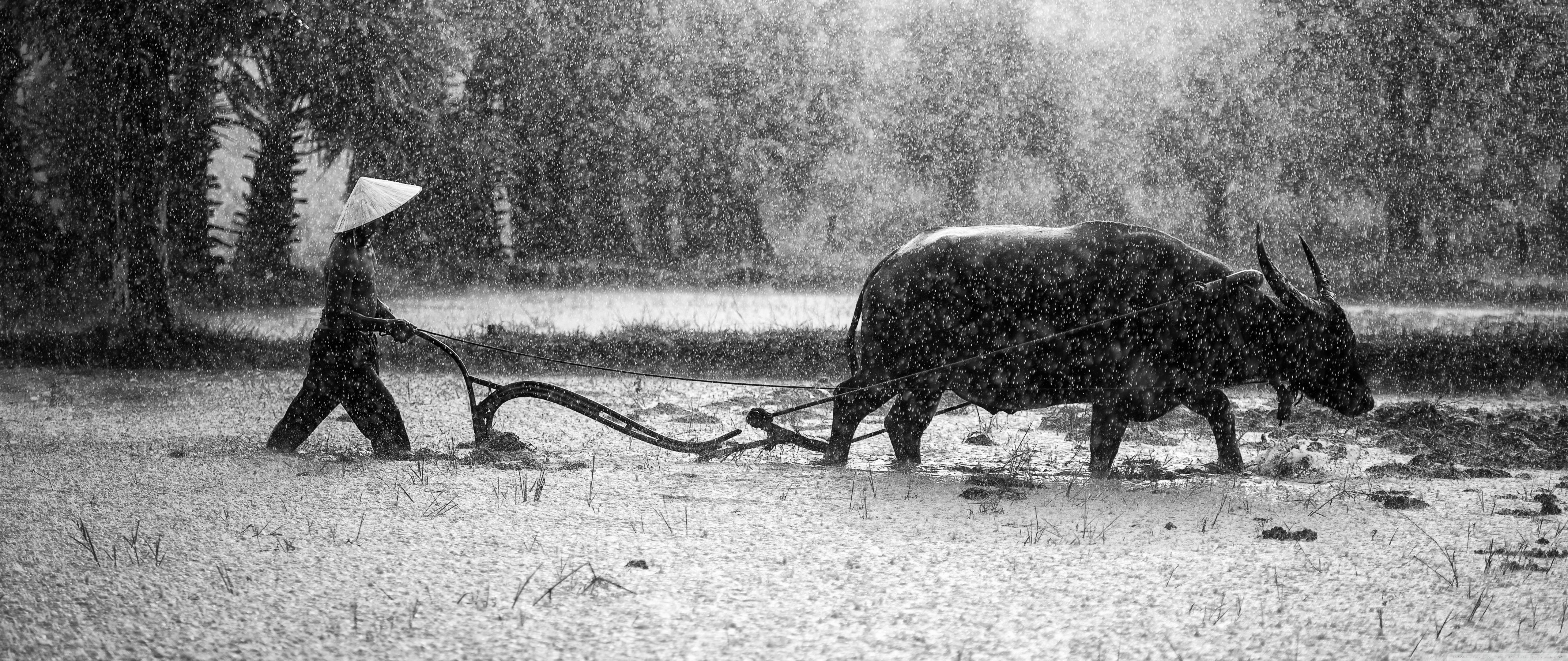 5120x2160 Buffalo Wallpaper