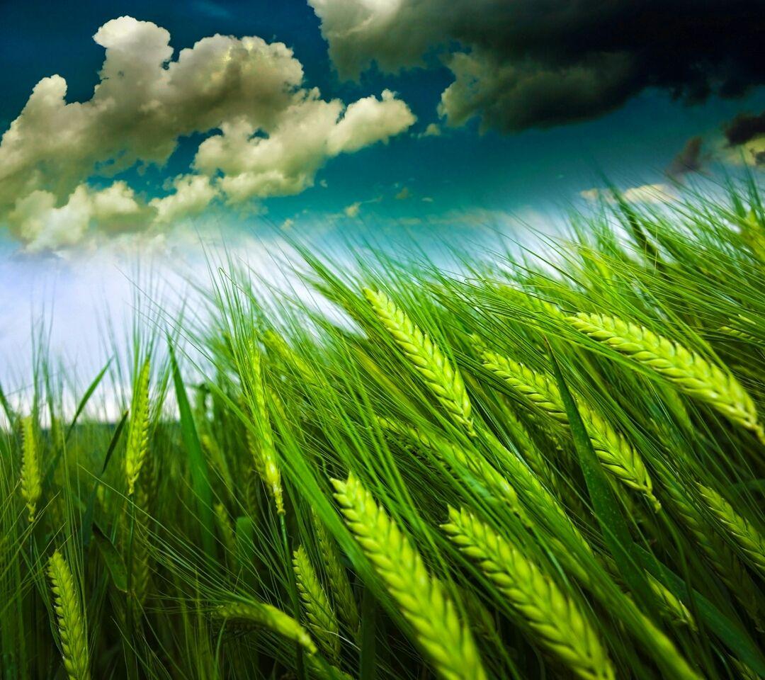 1080x960 HD Wallpaper, IOS, Windows Phone and Desktop: Motorola