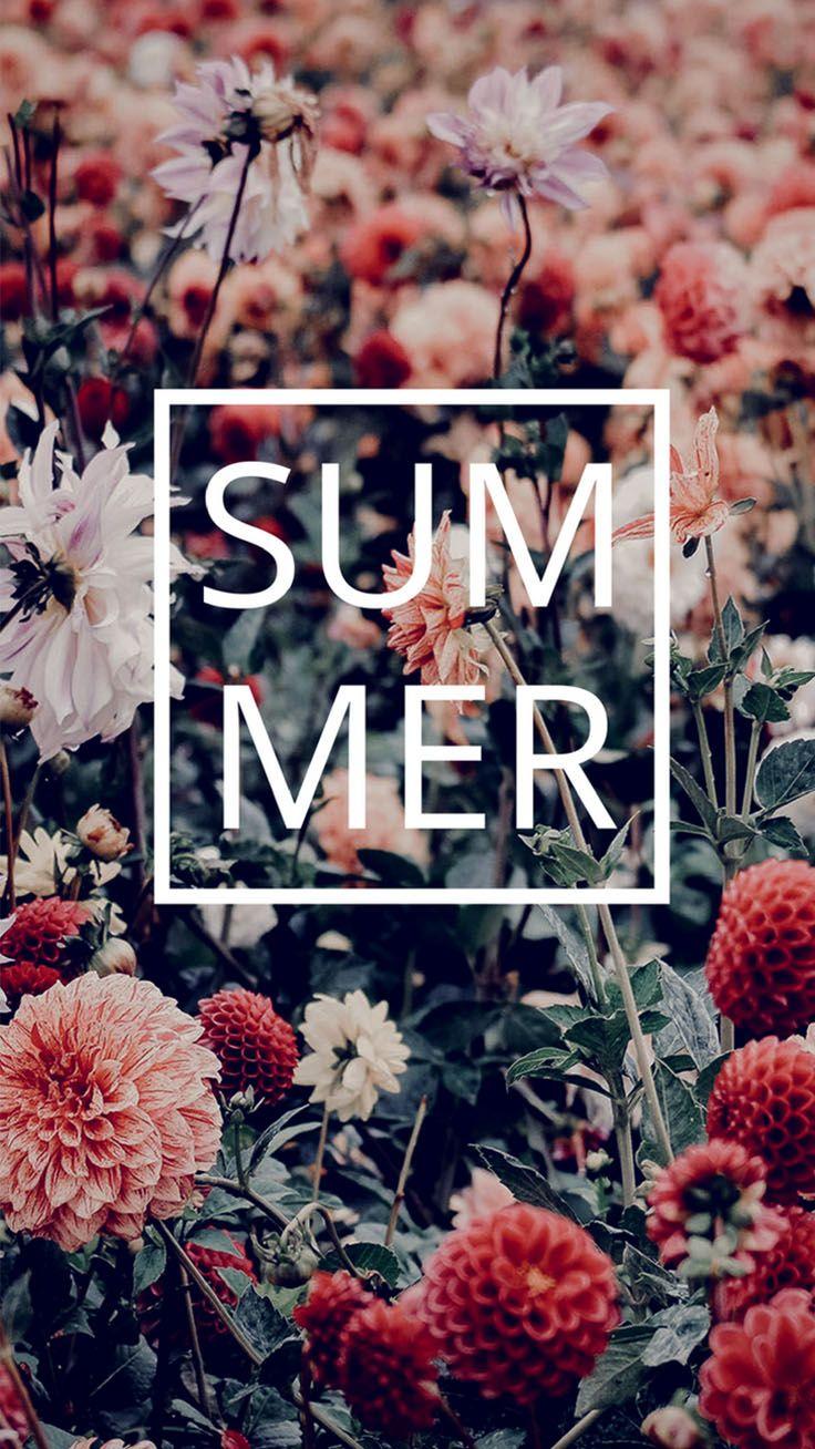 736x1308 Summer Lovin' Quotes iPhone Wallpaper Collection