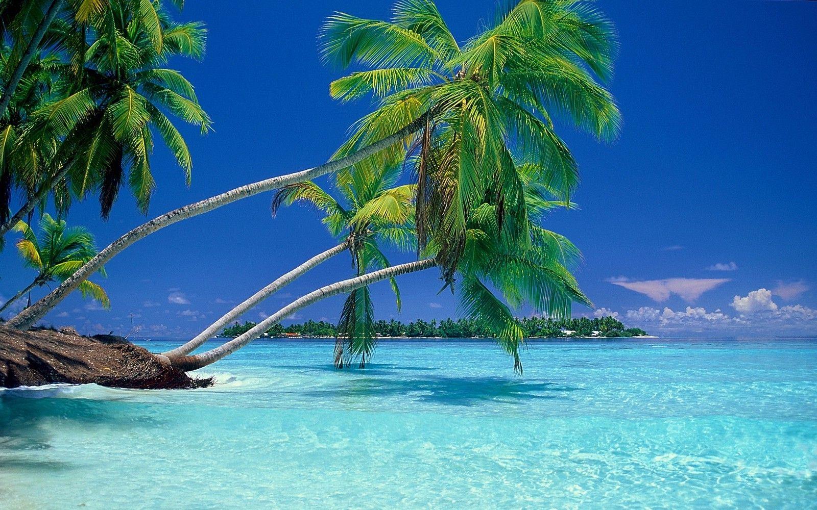 Tropical Water Wallpapers - Top Free Tropical Water Backgrounds