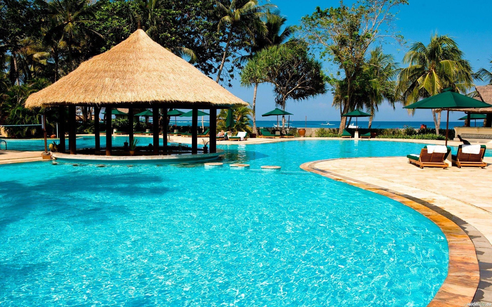 1920x1200 Swimming Girl Vacation Pool Water Palm Trees HD Desktop. Total