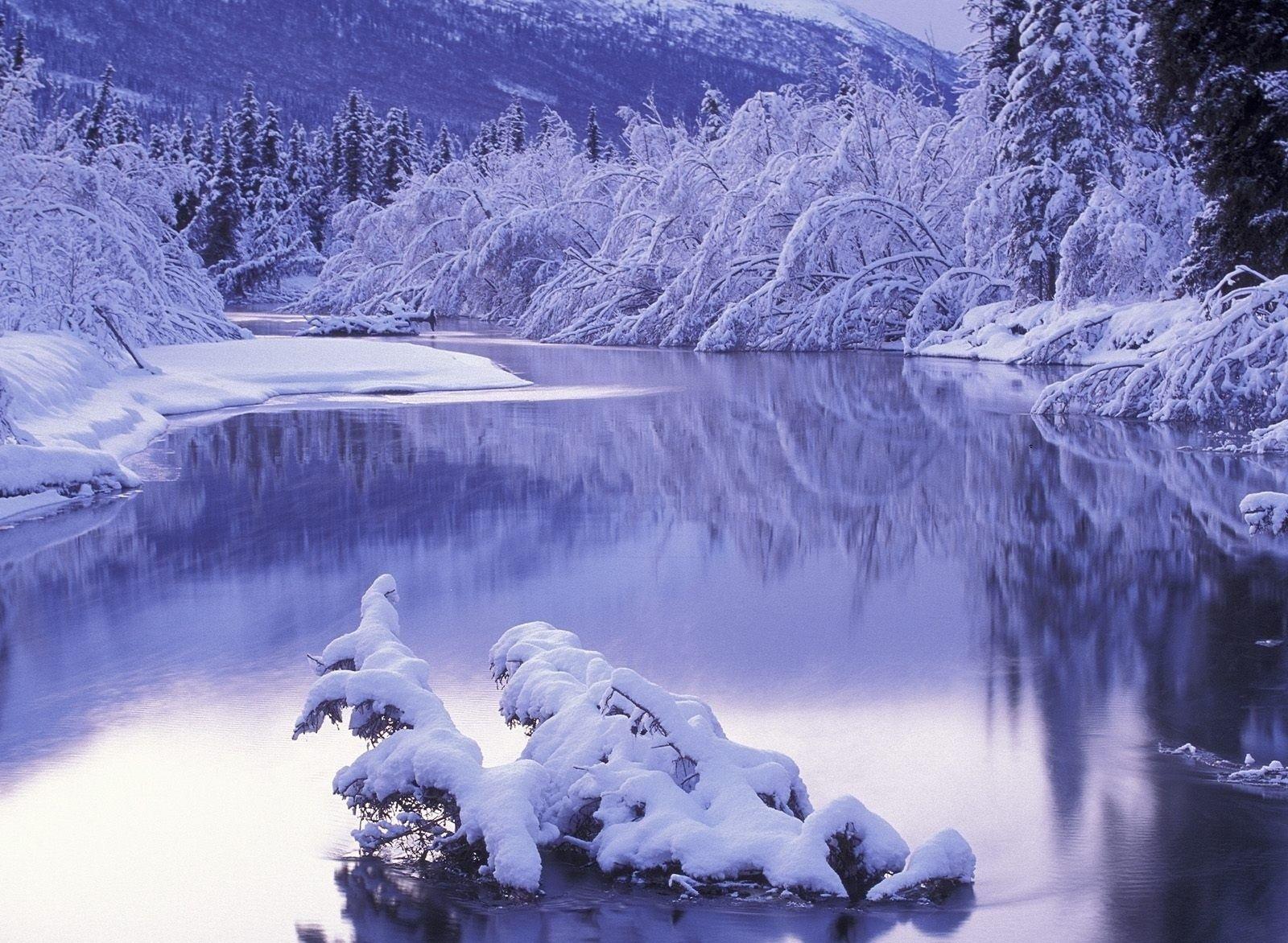 1600x1172 White Plants Lagoons Ice Paisagem Scenery Snow Water Rivers Icy