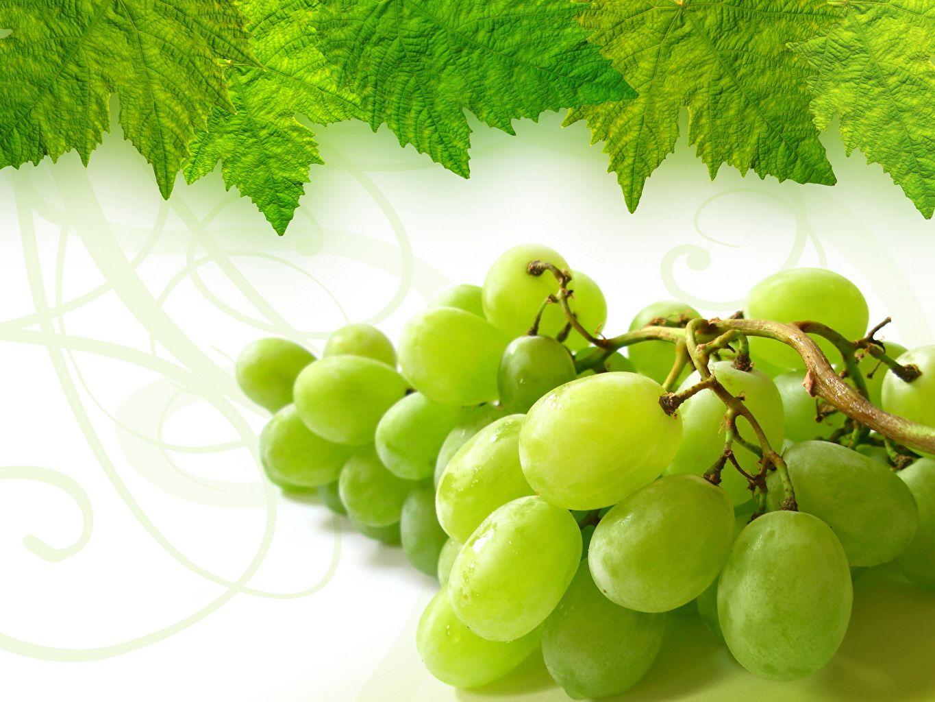 1365x1024 Picture Foliage Grapes Food Fruit