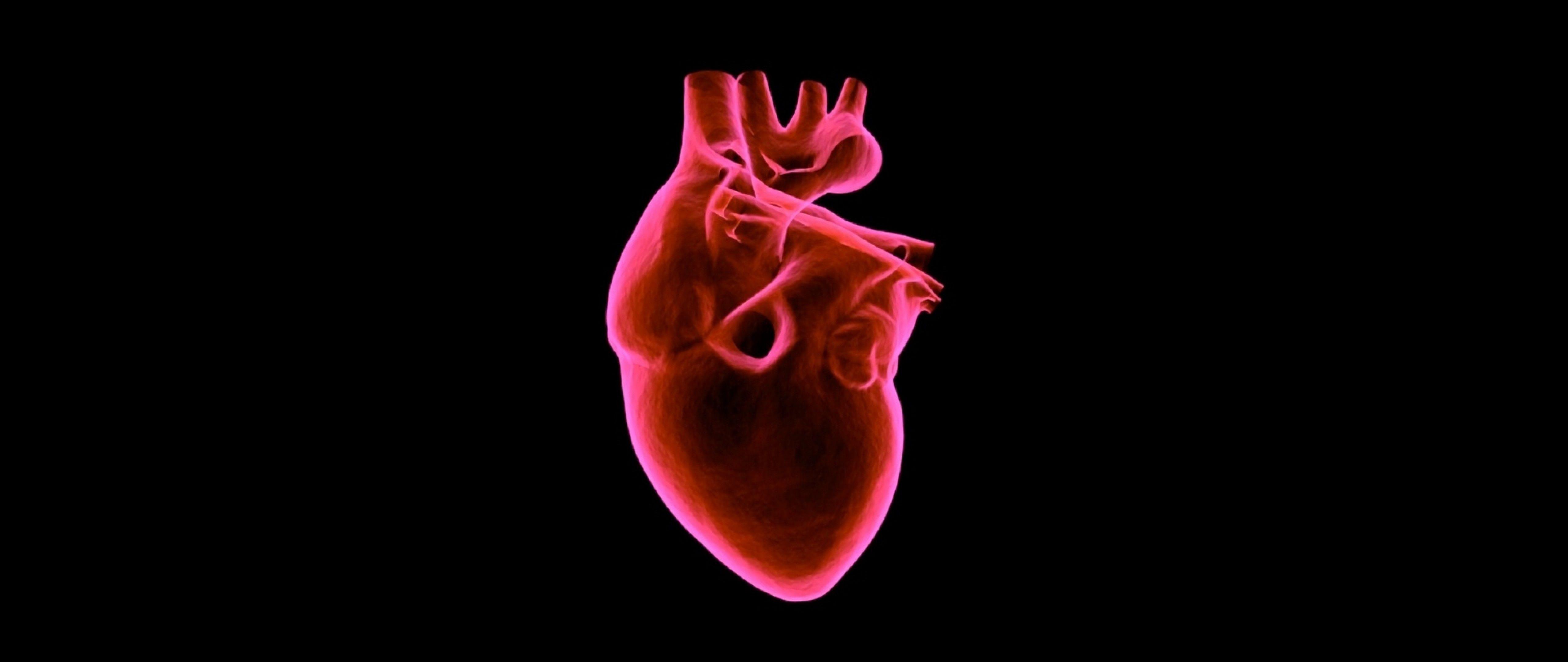 Featured image of post Human Heart Wallpaper Hd - Please contact us if you want to publish a human heart wallpaper on.