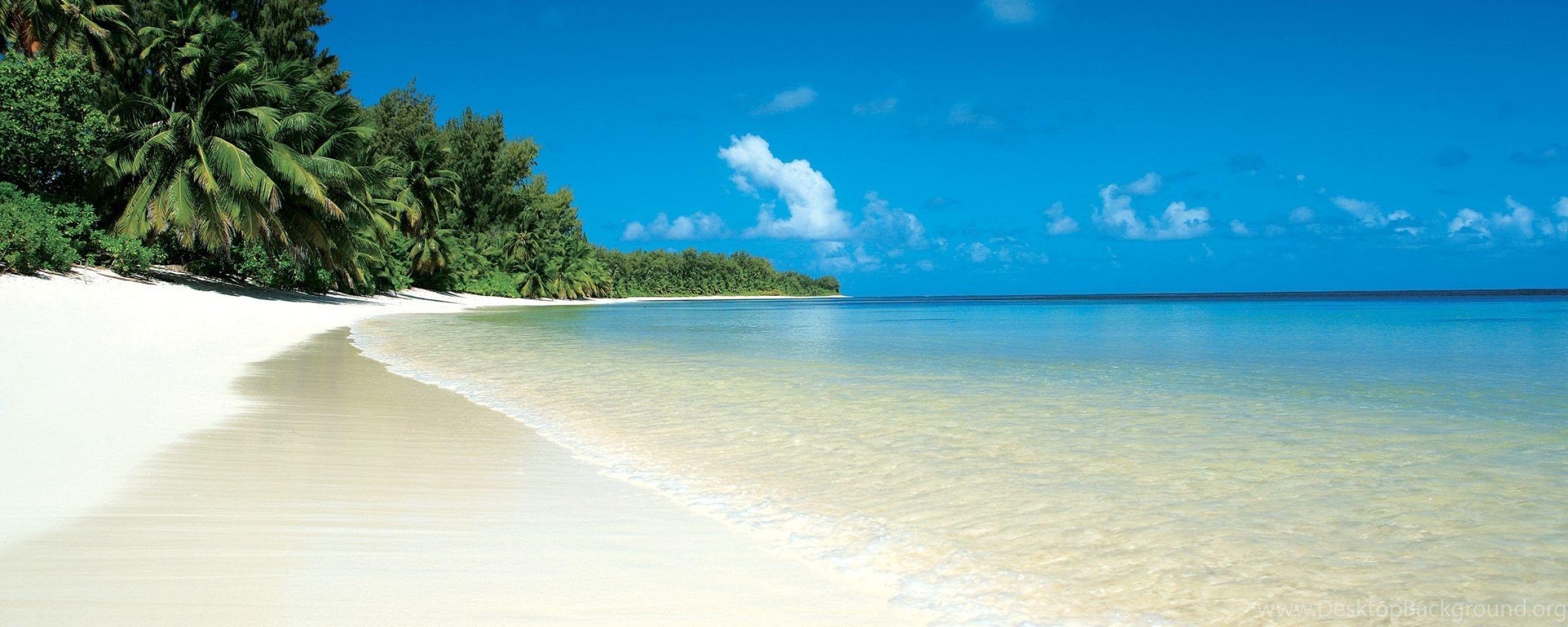 2560x1024 Download Wallpaper 2560x1024 Beach, Tropics, Sand, White, Palm