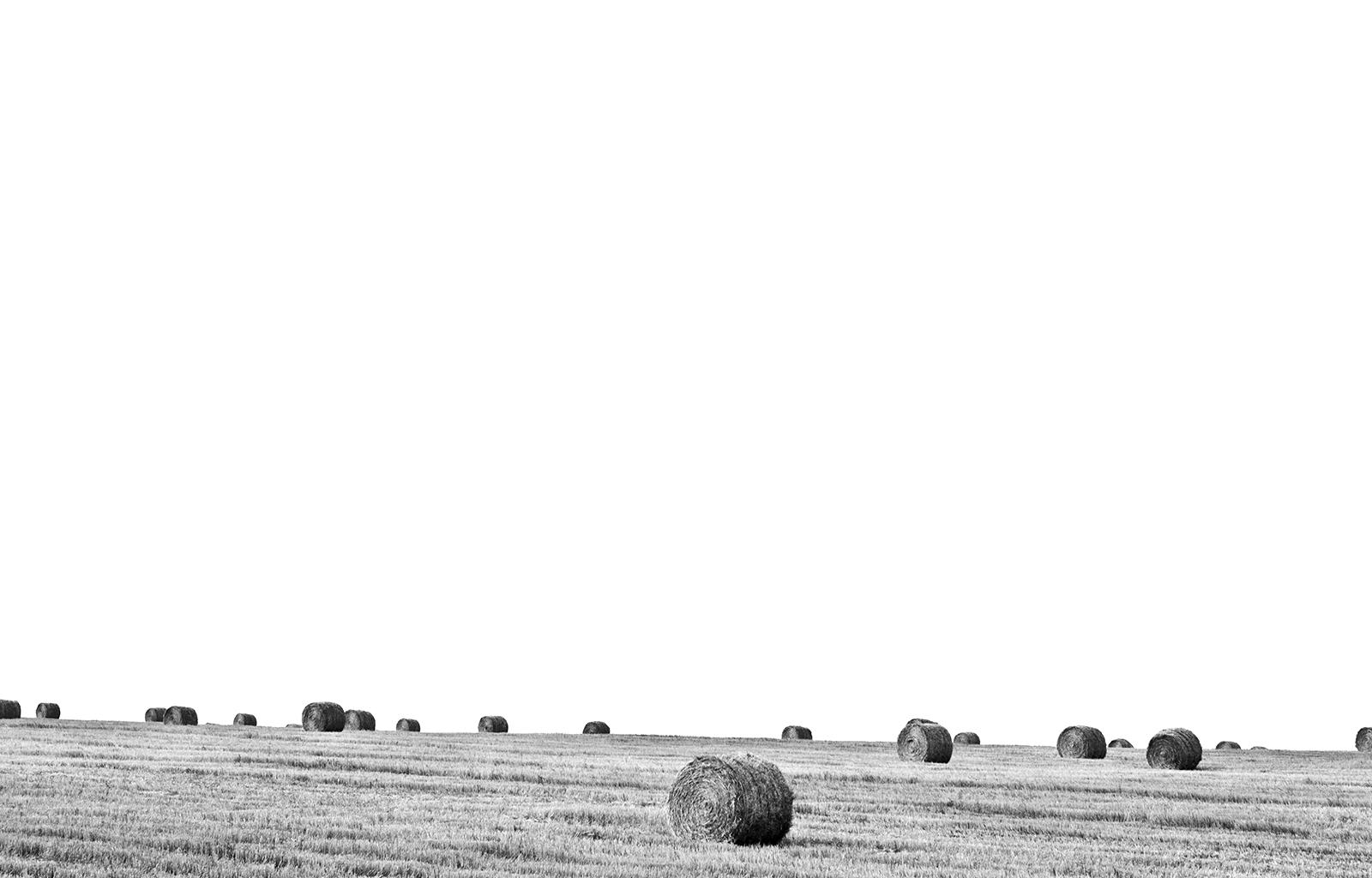 1600x1024 Black And White Nature Sky Field Hd Grayscale Image Black And