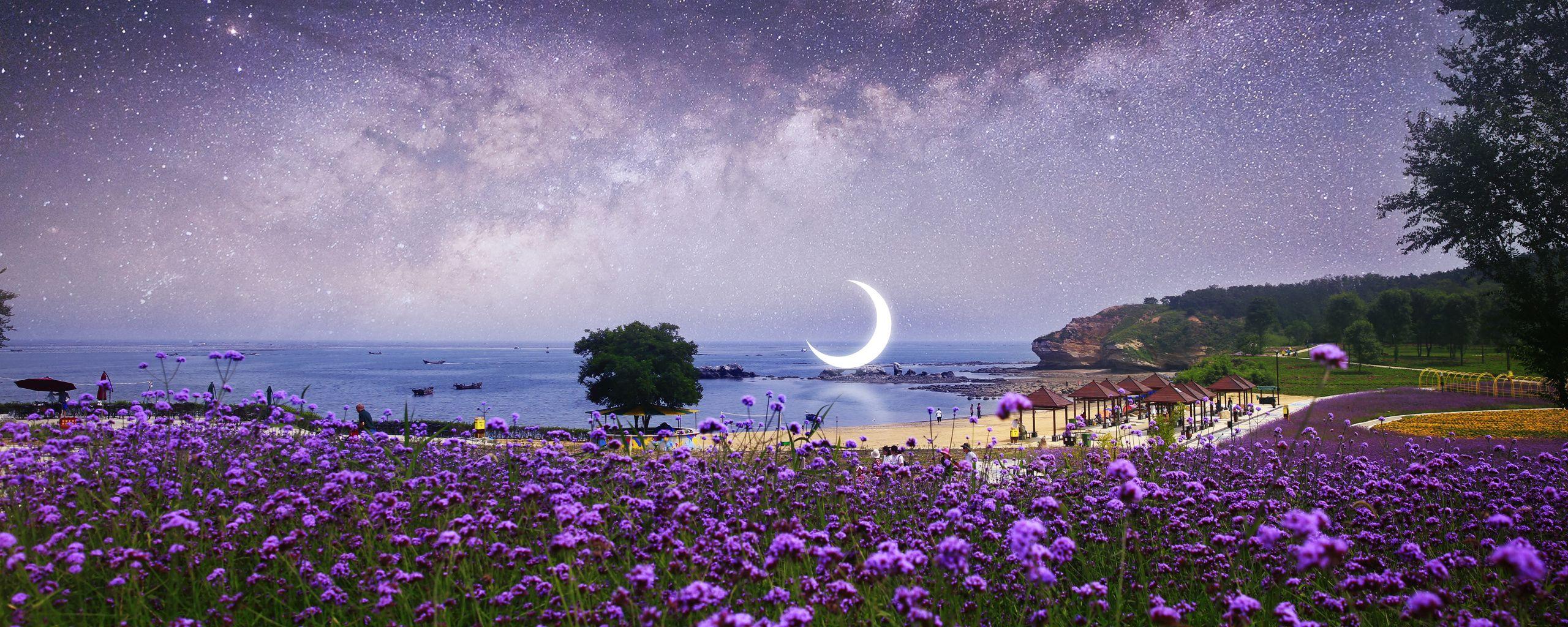 2560x1024 Download Beach, flowers, farm, milky way, surreal, photohop