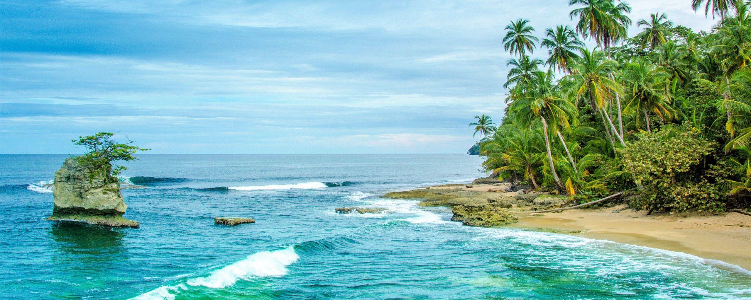 2560x1024 Download 2560x1024 Wallpaper Tropical Beach, Trees, Beach, Nature