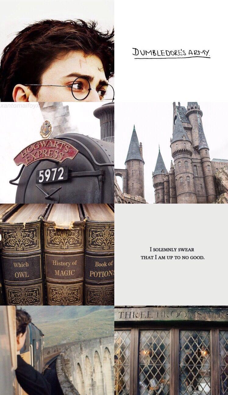 748x1294 Harry Potter Aesthetic Wallpaper FREE Picture