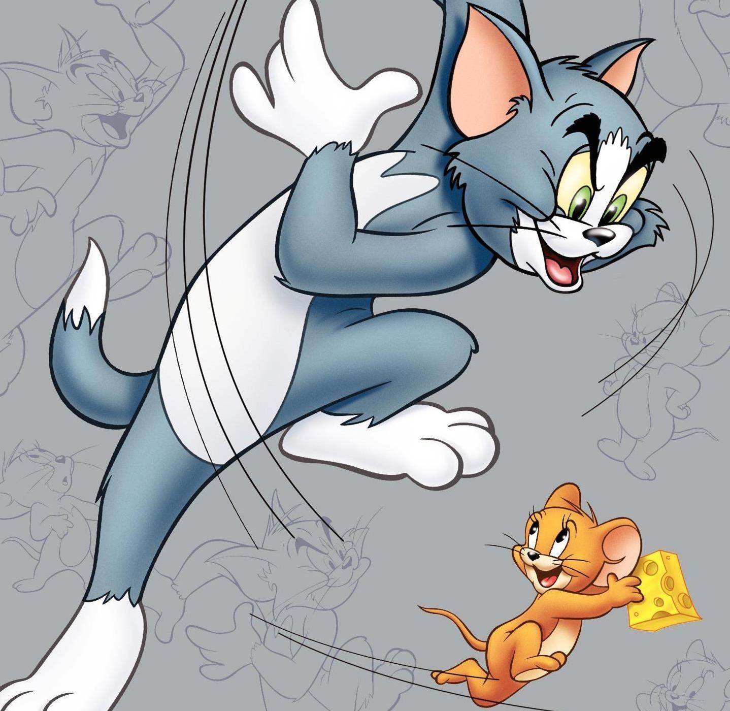 1438x1400 Tom và Jerry hình nền 4