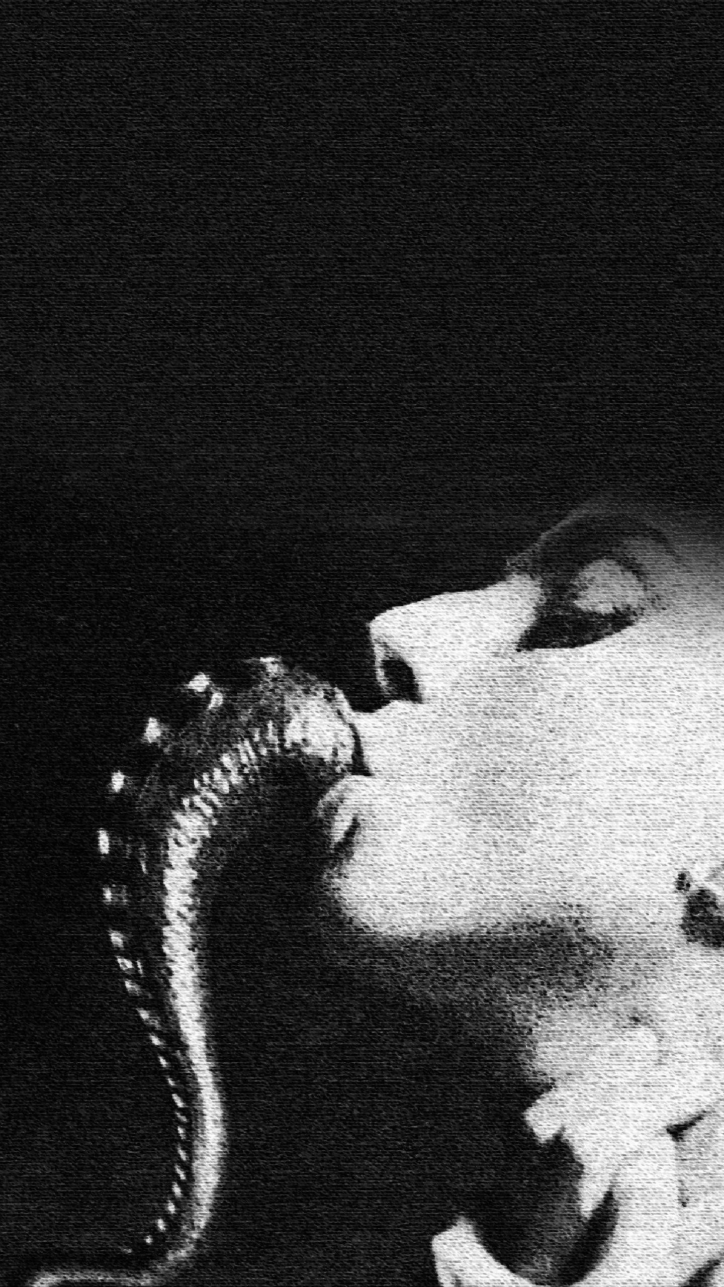 Lady Gaga Phone Wallpapers - Top Free Lady Gaga Phone Backgrounds