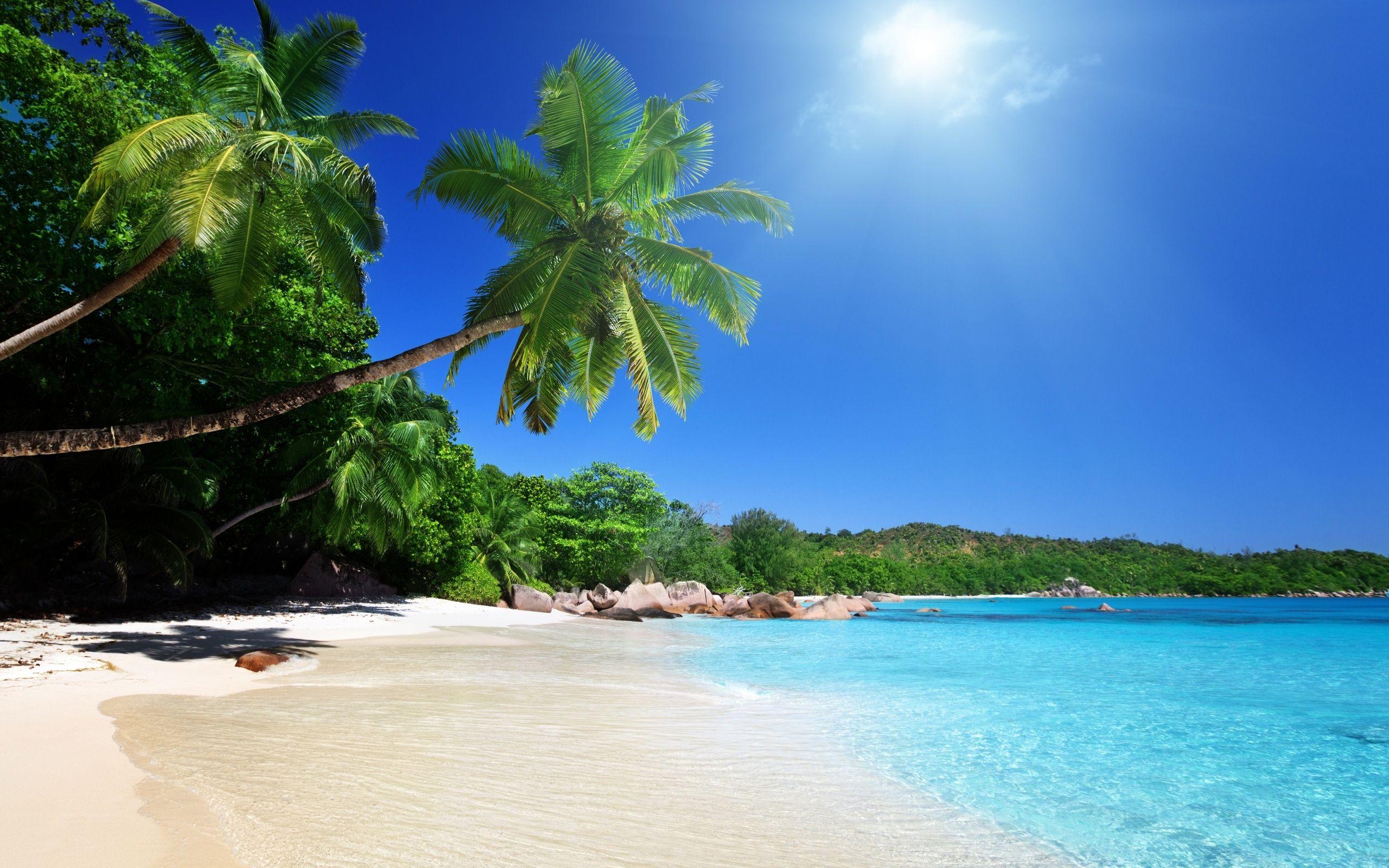 2560x1600 Sunny Tropical Beach