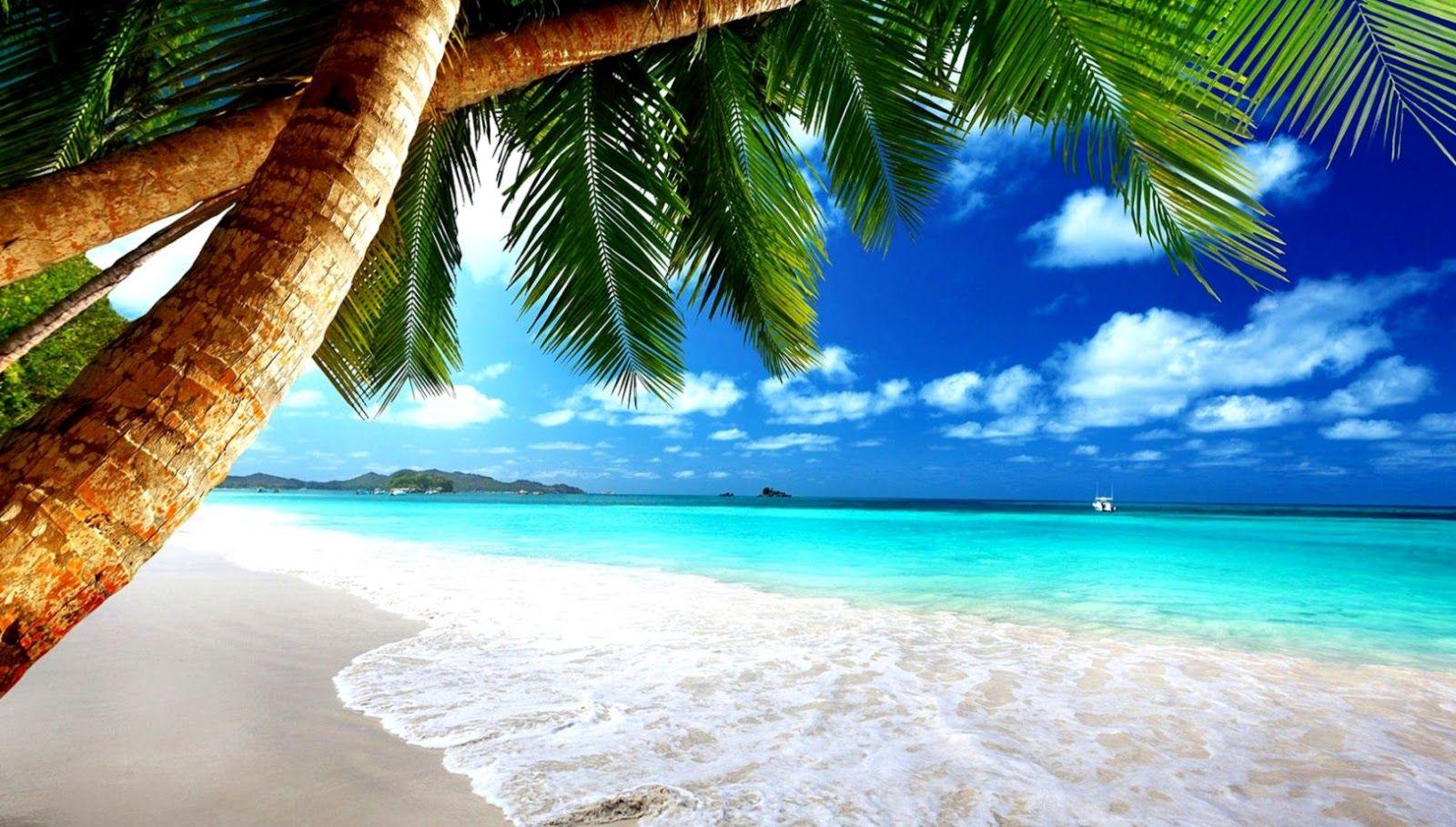 Beautiful Paradise Desktop Wallpapers - Top Free Beautiful Paradise ...