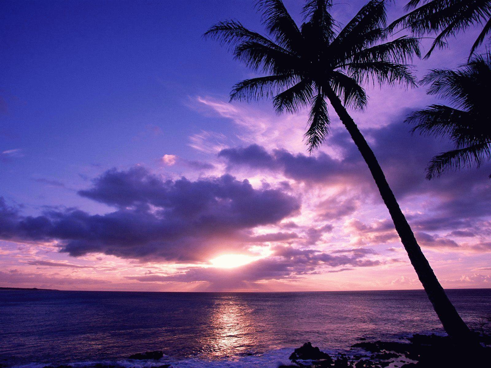 1600x1200 Beach Scenery Tropical Island. Filename : HD beach scenery