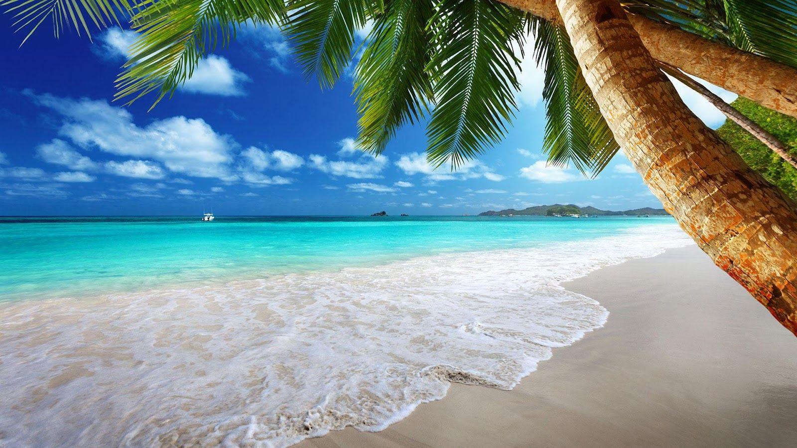 1600x900 Tropical Beach, Palm Trees # 1600x900. All For Desktop
